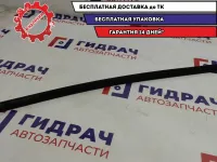 Уплотнитель стекла двери передней правой Kia Cerato (TD) 822411M001WK.