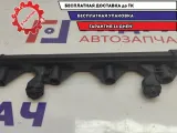 Рейка топливная Citroen C4 198552.