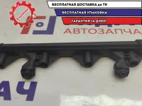 Рейка топливная Citroen C4 198552.