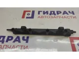 Рейка топливная Citroen C4 198552.