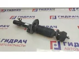 Амортизатор передний Skoda Rapid 6R0413031BF.