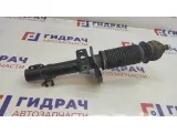 Амортизатор передний Skoda Rapid 6R0413031BF.