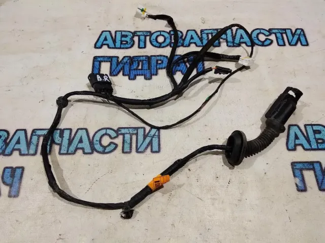 Проводка двери задней правой Kia Rio 4 2017 91660H0020 Отличное состояние
