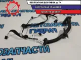 Проводка двери передней правой Renault Sandero 2 241258260R.