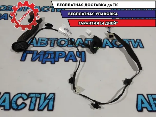 Проводка двери задней Renault Sandero 2 241261266R.