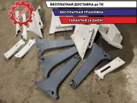 Пластик салонный Renault Sandero 2.