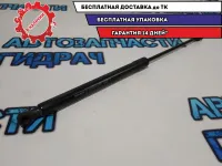 Амортизатор двери багажника Renault Sandero 2 904529943R.