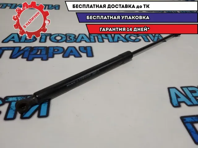 Амортизатор двери багажника Renault Sandero 2 904529943R.