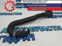 Патрубок радиатора Renault Sandero 2 215012952R.