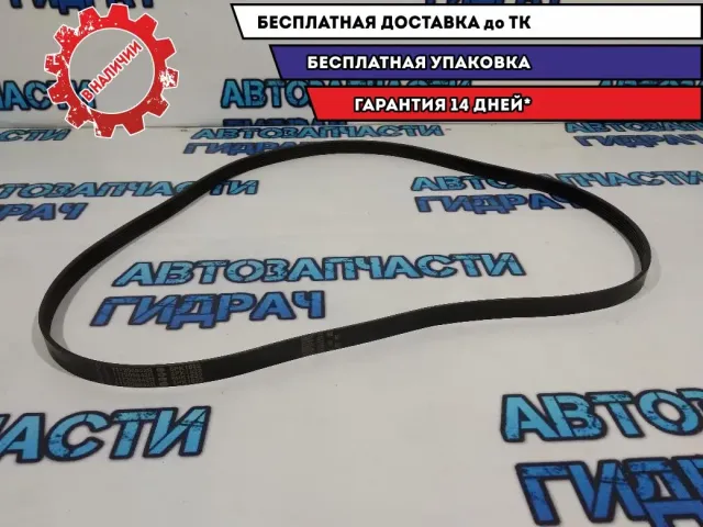 Ремень ручейковый Renault Sandero 2 117206842R