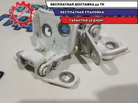 Петли двери задней левой Renault Sandero 2