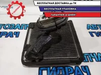 Испаритель кондиционера Skoda Superb 2 3C1820103B Отличное состояние