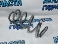 Пружина задняя Nissan Terrano 3 5502000Q1E.