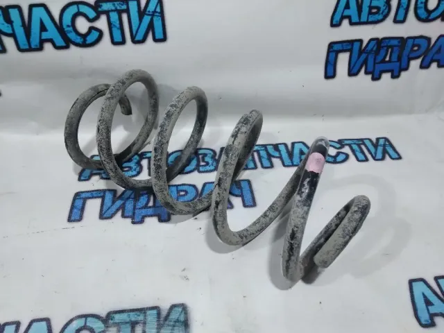 Пружина задняя Nissan Terrano 3 5502000Q1E.