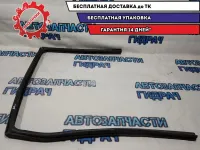 Уплотнитель стекла двери задней левой Nissan Terrano 3 8233100Q0C