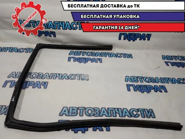 Уплотнитель стекла двери задней левой Nissan Terrano 3 8233100Q0C