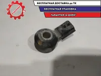 Датчик детонации Nissan Terrano 3 2206000Q0C