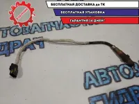 Датчик кислородный Nissan Terrano 3 226901841R