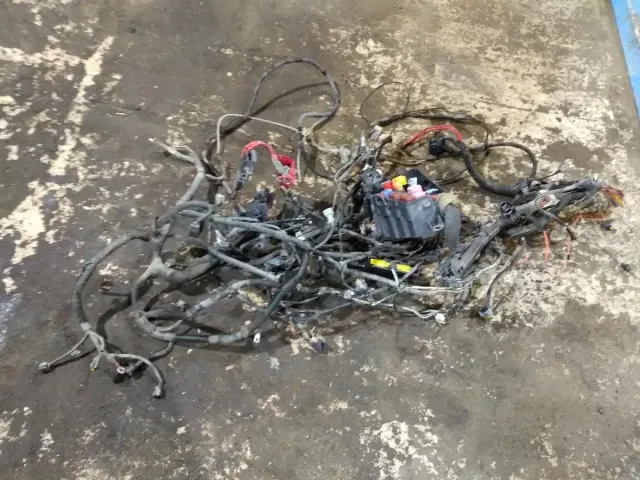 Проводка двигателя Nissan Terrano 3 240113218R