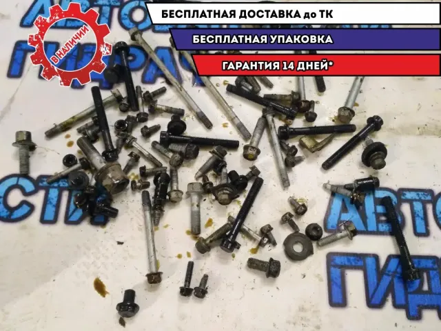 Болты двигателя Kia Rio 2013