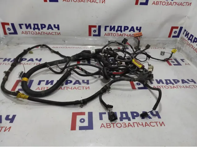 Проводка (коса) Chevrolet Aveo Т250.