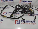 Проводка (коса) Chevrolet Aveo Т250.