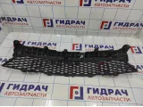 Решетка в бампер центральная Mazda 3 (BK).  BP4K501T1
