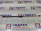 Амортизатор капота Skoda Superb.