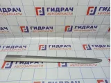 Молдинг передней левой двери Nissan Almera Classic (B10). Дефект ЛКП.