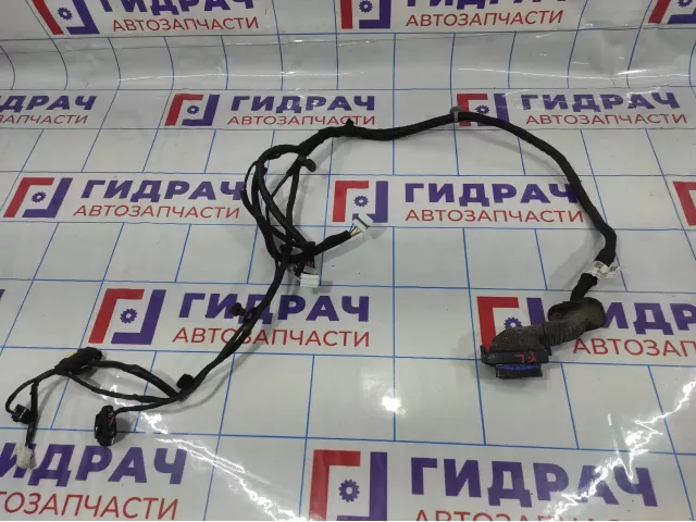Проводка двери передней левой Hyundai Solaris 2.  91605H5590