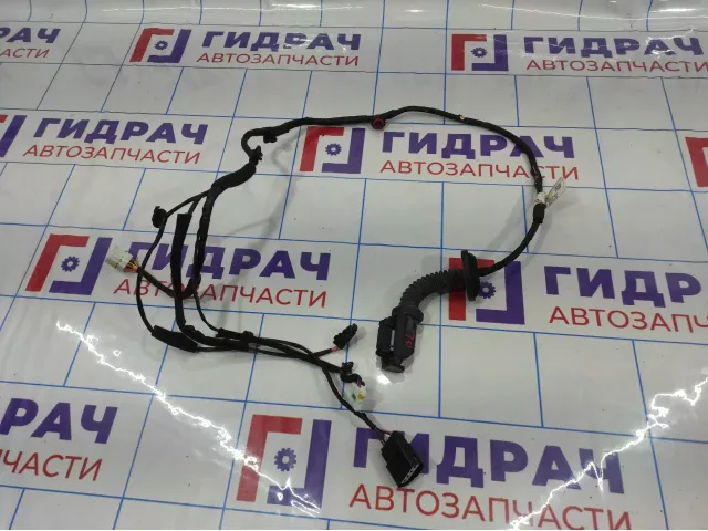 Проводка двери задней левой Hyundai Solaris 2.  91625H5020